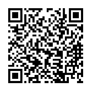 他们所有的注意力都放在了王座上边的那本书籍上二维码生成
