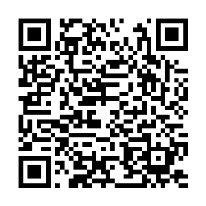 他们所过之处无论碰到什么荒兽都可以轻松的战胜二维码生成