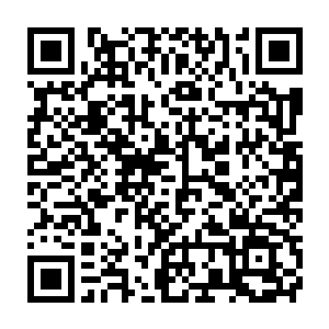 他们手上按着的那珠子当中的光芒也是开始不停的明灭闪耀了起来二维码生成