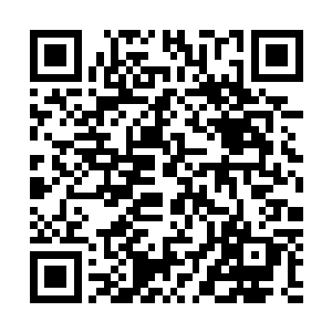 他们手上有攻击的目标还没有多余的心思去追究我们的情况二维码生成