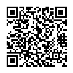 他们才不会为了这些红角族去得罪他们大巫的教导者二维码生成