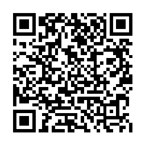他们才不得不放弃了寻找鳄蛟王藏宝洞府的事情二维码生成