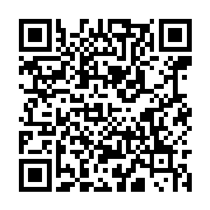 他们才兴高采烈地将原先种植小麦的地改种了稻种二维码生成