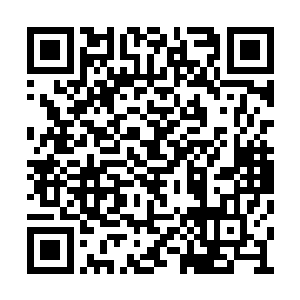 他们才吃惊的发现努比斯竟然也是一只九阶魔兽二维码生成