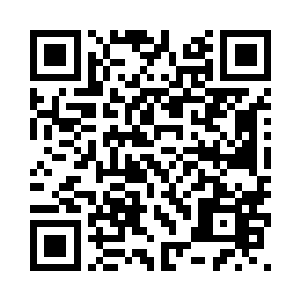 他们才是决定这世界路途的执掌者二维码生成