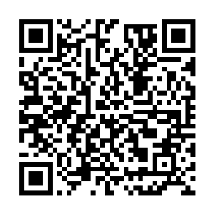 他们才更需要通过事实来验证自己的猜测是否属实二维码生成
