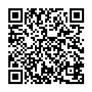 他们才知道自己手中拿着的竟然是传说中的仙家法宝二维码生成