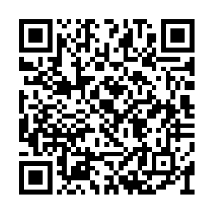 他们才能在一定程度上对不法分子采取强制措施二维码生成