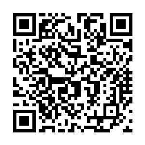 他们才能有机会近距离的接触这三大家族真正的幕后掌舵人二维码生成