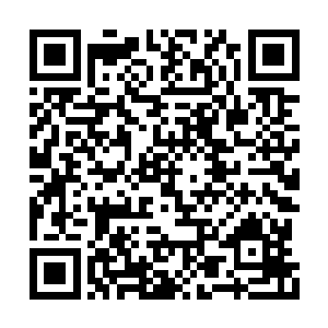 他们打赌金振义昨晚一定回到了生活区里来休息二维码生成