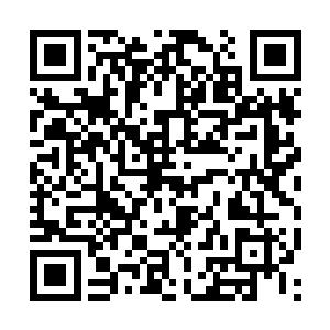 他们扛着昏迷不醒的8个地球人来到空地中央的祭台上二维码生成