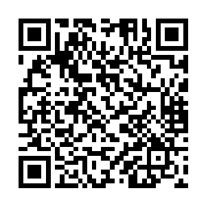 他们找了一个和雷欢喜身形想象的人杀死了路德范尼二维码生成