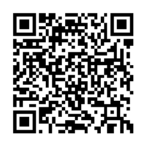 他们护送的东西想必就是从战场深处得到的东西二维码生成
