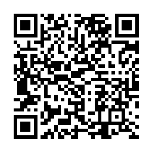 他们拥有和碳基智慧生命完全不同的社会形态和生存方式二维码生成