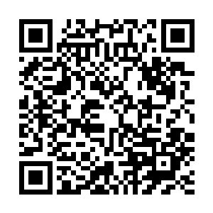 他们拿出了一捆绳子立马将别墅之中的所有人五花大绑起来二维码生成
