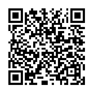 他们插在紫色方红buff背后草丛的眼位起到了作用二维码生成