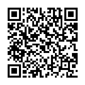 他们敏锐的本能可以更好辨别一个人是否是真正的强大二维码生成