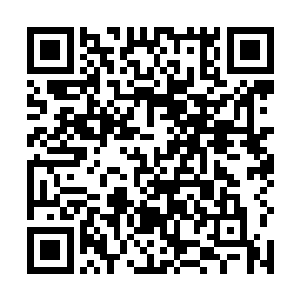 他们敢进犯部落龙战自然是把铲除他们做为头等的事情二维码生成