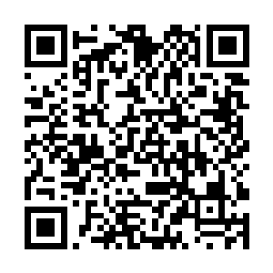他们族气就是没有被仙道抽取气运前的早期人类族气二维码生成