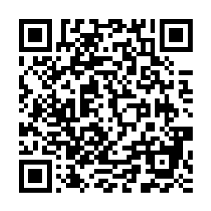 他们早早就把林乐颜停在商店外的汽车的轮胎用了锁给锁上了二维码生成