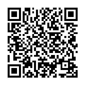 他们明知道这个机关母机的意义远远超过之前的一切神材二维码生成