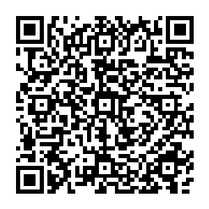 他们是一条绳上的蚂蚱 而且风清扬今日若是灭了茅山 说不准哪天就会灭了其余的门派二维码生成