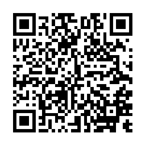 他们是为了自己的前程才跟随自己的老师来到这儿的二维码生成