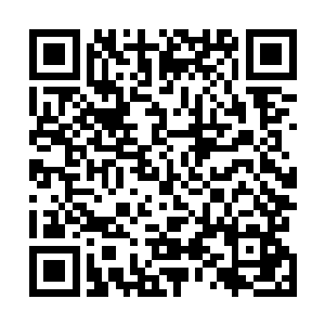 他们是为禁地外围山谷之内出没的一些妖兽和灵药而来的二维码生成