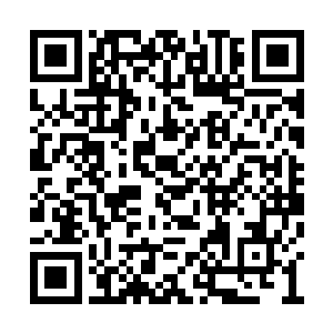 他们是从一个特种兵部队里摸爬滚打出来的兄弟二维码生成