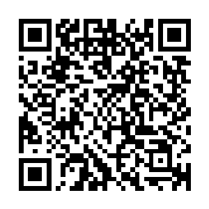 他们是多方走投无路方才打听到仓北县中医院刘一维等人的大名二维码生成