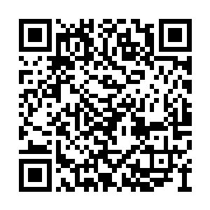 他们是奥莉命令押送精灵王子返回石巨人领地的二维码生成