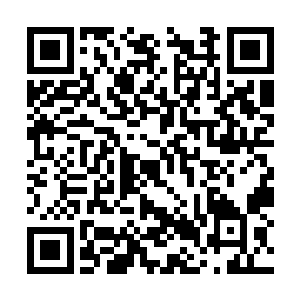 他们是当初去赤塔与宗奎交手的几位前辈中的四位二维码生成