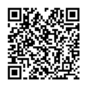 他们是第一个将自己家族之中优秀子弟流放出去的势力二维码生成