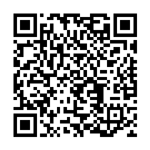 他们显然没有想到眼前的龙王竟然可以进入空灵之境二维码生成