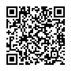 他们暗中勾结了另外四大组织中的一些别有用心的人二维码生成