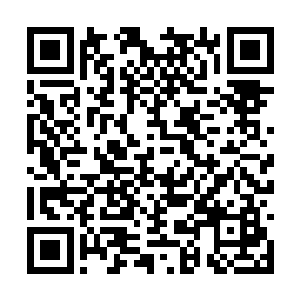 他们更想看到的是周二公子和那个吴虎臣同归于尽二维码生成