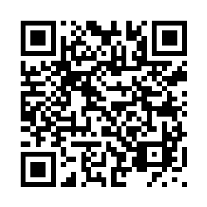 他们最后通过考验的不是谁实力强二维码生成