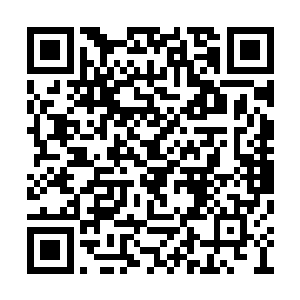 他们最多也只是将灵根生长的地方布置一个禁制二维码生成