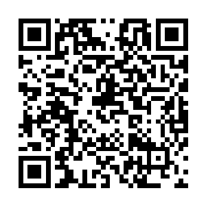 他们最多是继续用一些见不得光的手段来谋夺你的魔巢之骨二维码生成