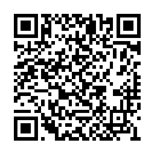 他们最大的希望就是被大门派选中然后加入门派二维码生成