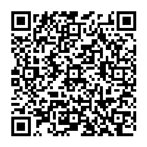 他们最有可能成为桑巴国的新国王　所以　他们也是今天的袭击事件的最大的嫌疑犯二维码生成