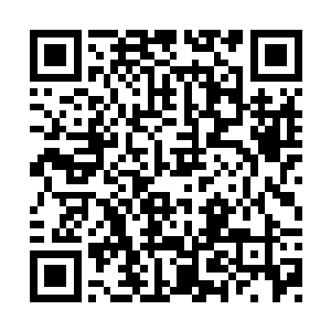 他们未来必定能够成为向您一样叱咤风云的名将二维码生成