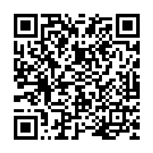 他们本以为自己至少还有十几年的时间可以用来改变教宗的意志二维码生成