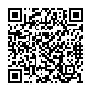 他们本来只是想要说能够让其中一个人主动出击二维码生成