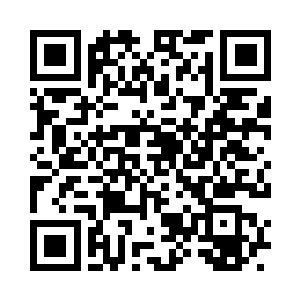 他们本来就是为了守护元素之心而生二维码生成