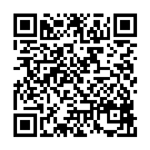 他们本来都觉得索菲亚来这里不过是走过场罢了二维码生成
