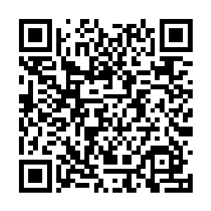 他们来之前也不知道这个常委会居然是拿掉丁长生二维码生成