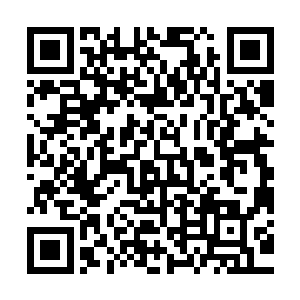 他们根本不明白真正的大敌不是和我们隔了一大片海洋的炼骨族二维码生成