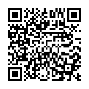 他们根本不是来帮助我们抵御这些海族的疯狂攻击的盟友二维码生成