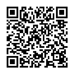 他们根本不用担心生那么多孩子怎么养活的问题二维码生成